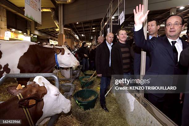 French President Francois Hollande waves as he passes by cows during his visit of the 50th International Agriculture Fair of Paris at the Porte de...