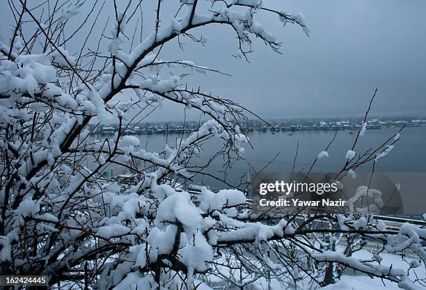 Boats are moored to the bank of Dal lake after a snowfall on February 23, 2013 in Srinagar, Indian Administered Kashmir, India. Several parts of the...