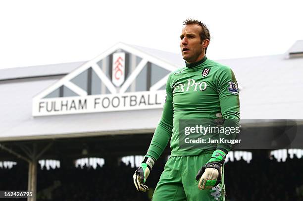 Mark Schwarzer, Goalkeeper of Fulham looks on during the Barclays Premier League match between Fulham and Stoke City at Craven Cottage on February...
