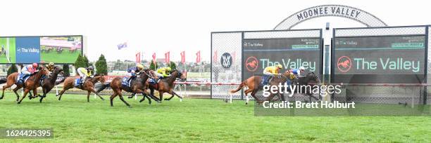 Ambassadorial ridden by Jordan Childs wins the Corporate Membership On Sale Plate at Moonee Valley Racecourse on August 26, 2023 in Moonee Ponds,...