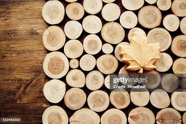 maple sugar - maple tree stock pictures, royalty-free photos & images
