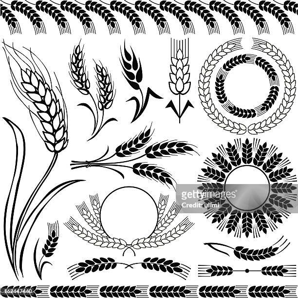 silhouetten von wheat - mais stock-grafiken, -clipart, -cartoons und -symbole