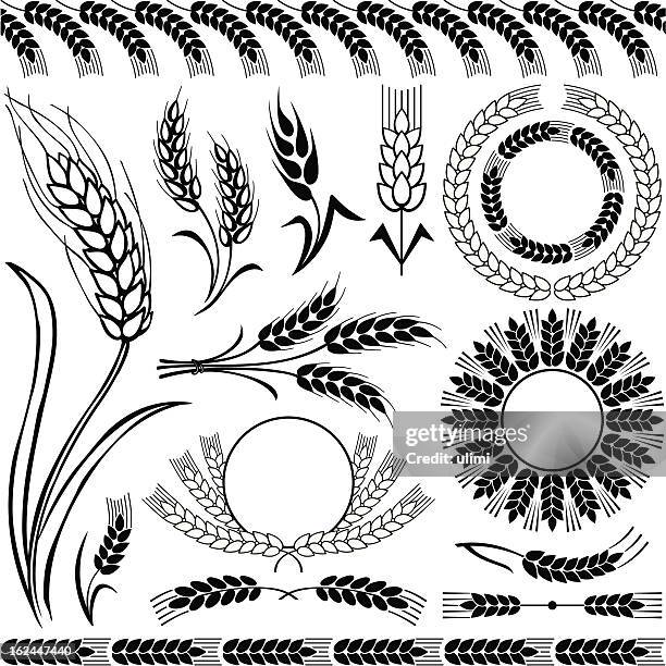 ilustraciones, imágenes clip art, dibujos animados e iconos de stock de siluetas de trigo - wheat