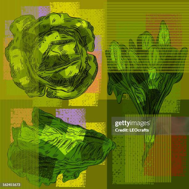 vegetables background - spinach stock illustrations