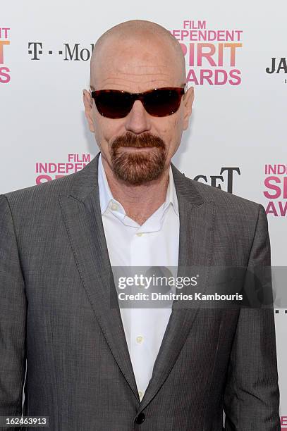 Actor Bryan Cranston arrives with Jameson prior to the 2013 Film Independent Spirit Awards at Santa Monica Beach on February 23, 2013 in Santa...