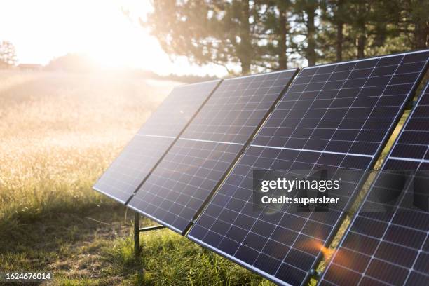 1,922 Sonal Stock Photos, High-Res Pictures, and Images - Getty Images