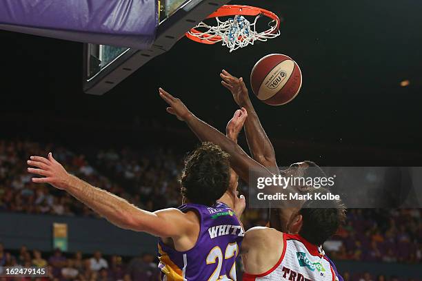 Darnell Lazare and Kevin White of the Kings compete for the ball with Jeremiah Trueman of the Wildcats during the round 20 NBL match between the...