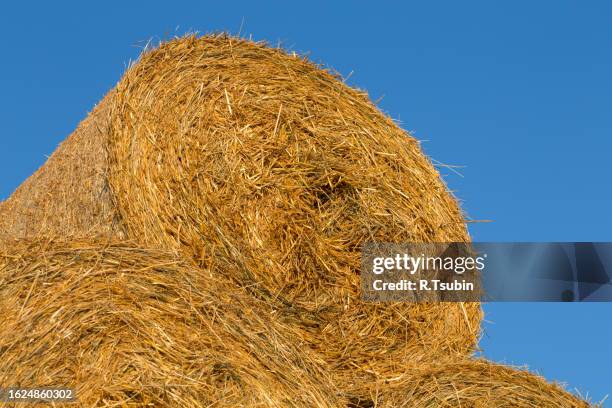 piled hay bales on a field against blue sky - stubble texture stock pictures, royalty-free photos & images