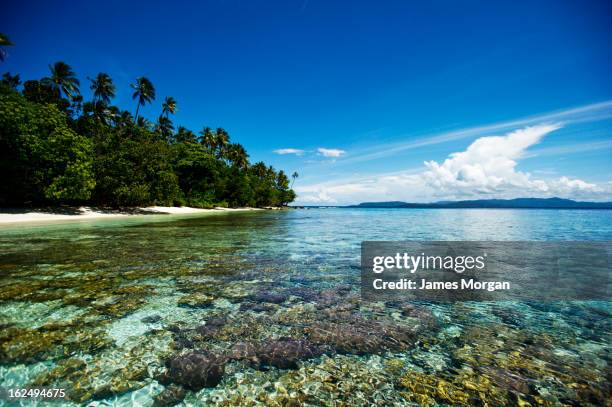 shallow sea with island shore and sky - solomon islands stock pictures, royalty-free photos & images