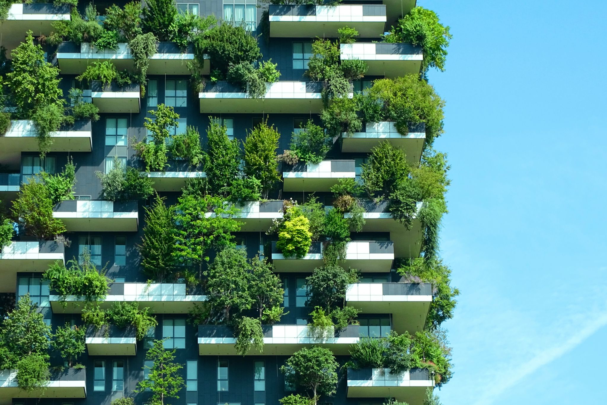sustainable architecture