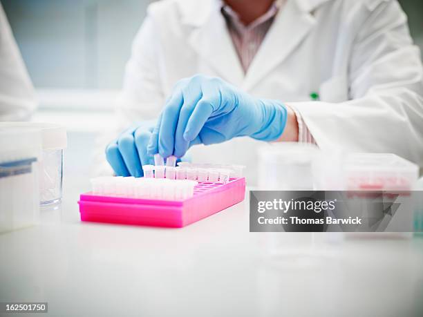 scientist in lab organizing test tubes in rack - lab closeups stock-fotos und bilder