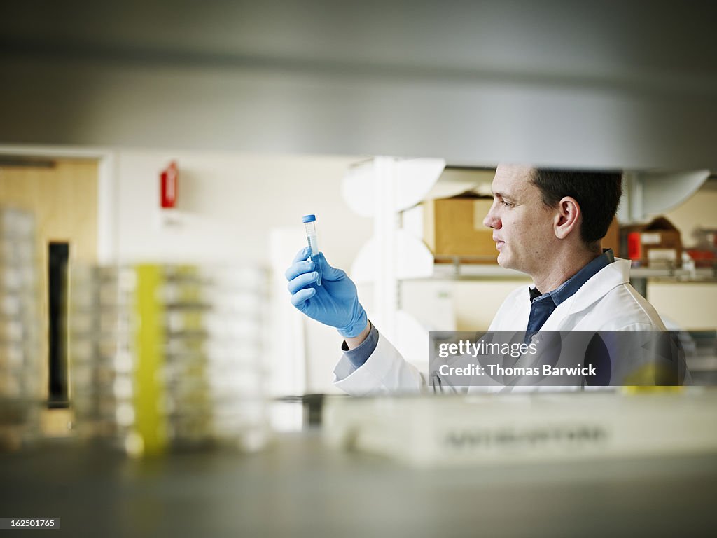 Scientist examining test tube in research lab