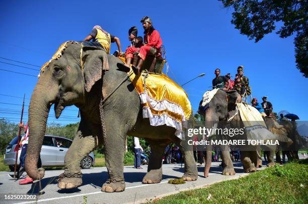 Participants ride on elephants during a parade welcoming the Islamic New Year and celebrating the culture and traditions of Thailand's southern...