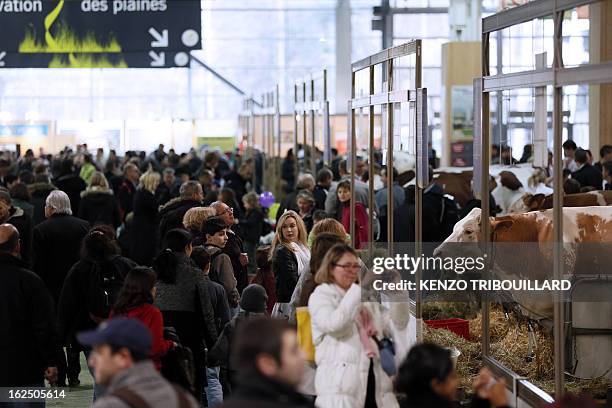 Hundreds of people visit the animals' hall at the 50th International Agriculture Fair of Paris at the Porte de Versailles exhibition center, on...