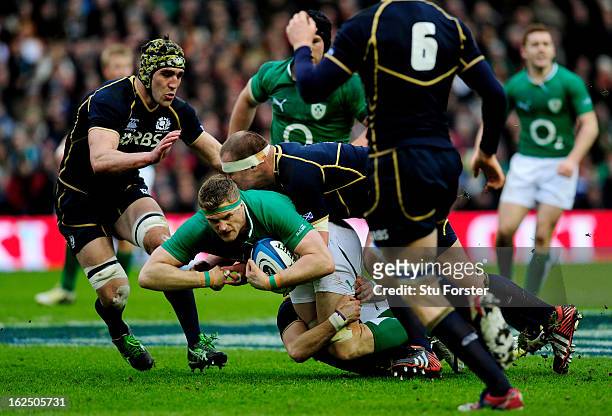 Captain Jamie Heaslip of Ireland is hauled down by the Scotland defence during the RBS Six Nations match between Scotland and Ireland at Murrayfield...