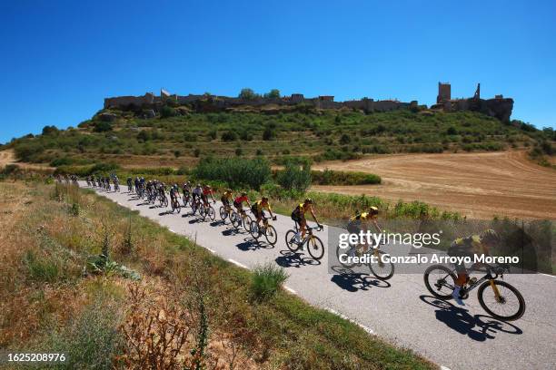 Primoz Roglic of Slovenia - Purple Leader Jersey, Robert Gesink of The Netherlands, Koen Bouwman of The Netherlands, Edoardo Affini of Italy, Gijs...