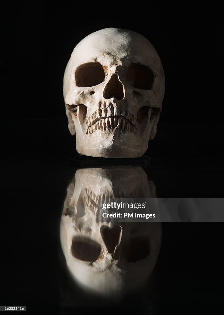 Human skull with reflection