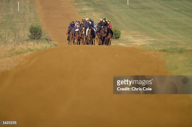 Horses and Jockeys on a training run in Newmarket, England. \ Mandatory Credit: Chris Cole/Allsport
