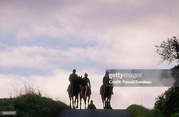 Silhouette of horses and jockeys training near Newmarket, England. \ Mandatory Credit: Pascal Rondeau/Allsport