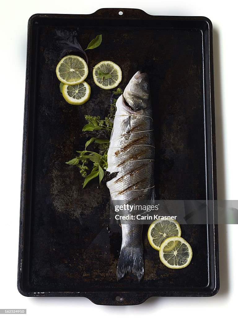 Grilled Whole Salmon on Platter