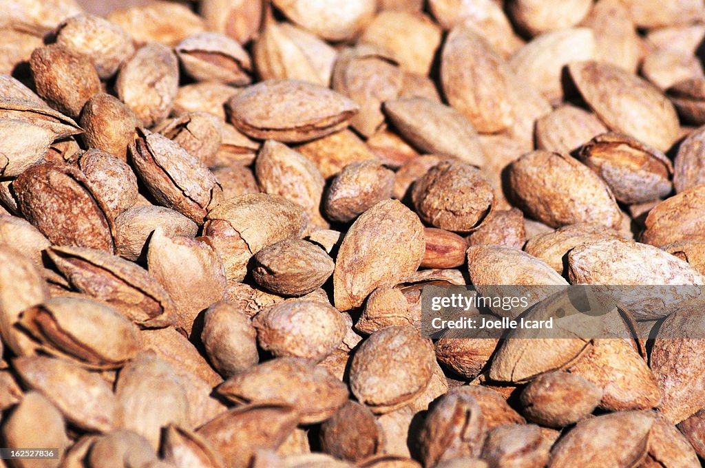Almonds in their shells