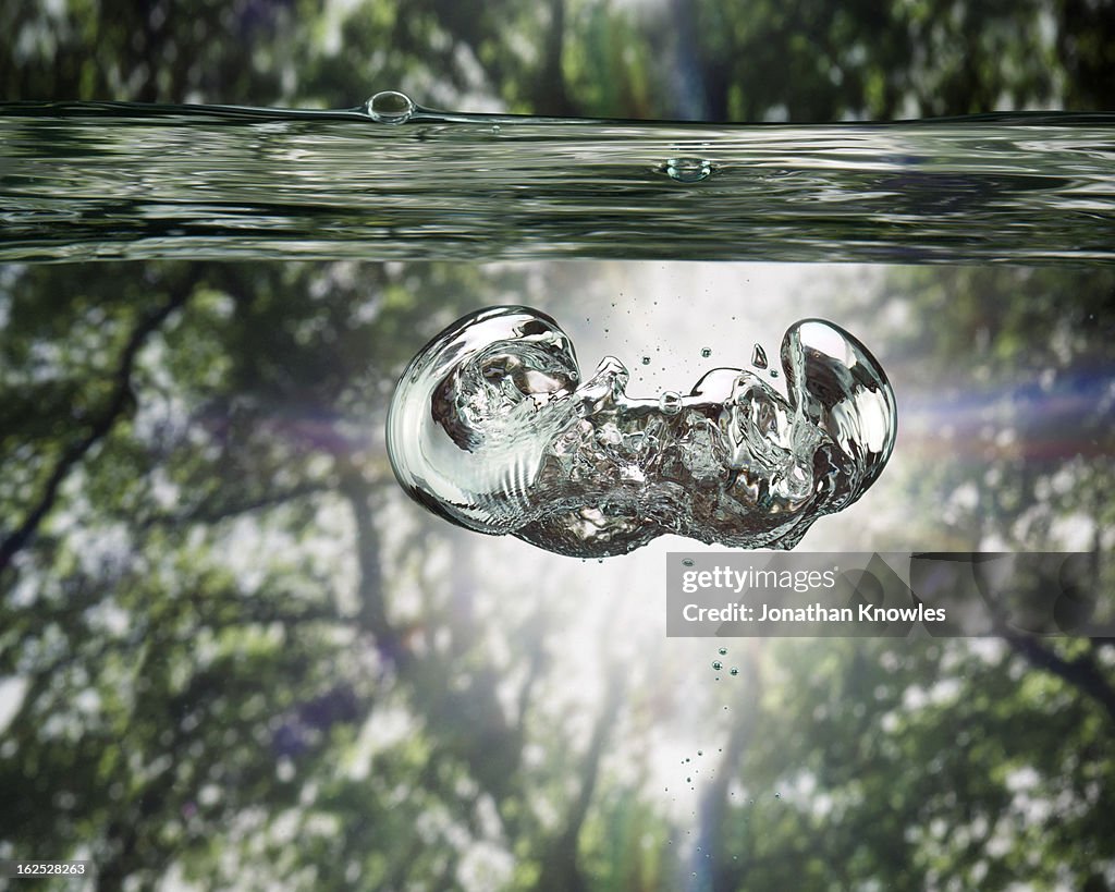 Bubbles underwater view, trees in background