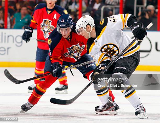 Drew Shore of the Florida Panthers faces off against David Krejci of the Boston Bruins at the BB&T Center on February 24, 2013 in Sunrise, Florida.