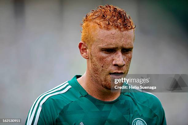 Souza of Palmeiras looks on during a match between Palmeiras and UA Barbarense as part of the Paulista Championship 2013 at Pacaembu Stadium on...