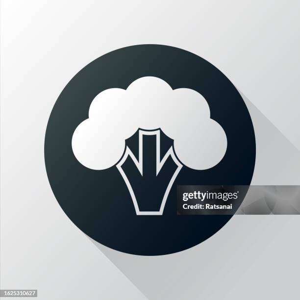broccoli - cooked broccoli stock illustrations