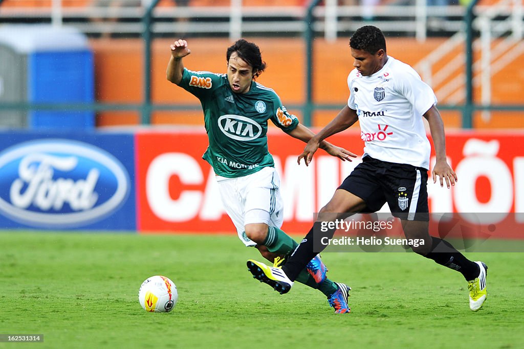 Palmeiras v Uniao Barbarense - Paulista Championship 2013