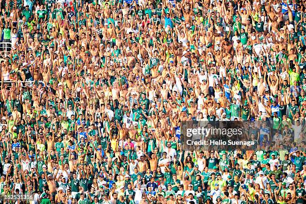 Fans of Palmeiras cheer for their team during a match between Palmeiras and UA Barbarense as part of the Paulista Championship 2013 at Pacaembu...
