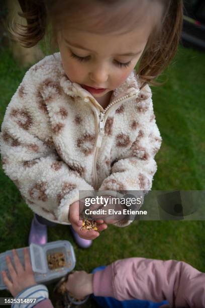 close-up of two children holding bird seed ready to put into a bird feeder in a domestic garden in springtime. - alpha female stock pictures, royalty-free photos & images