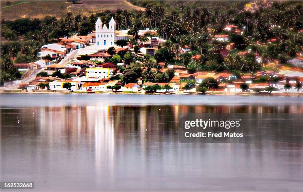 coqueiro seco e reflexo na lagoa mundaú - reflexo stockfoto's en -beelden