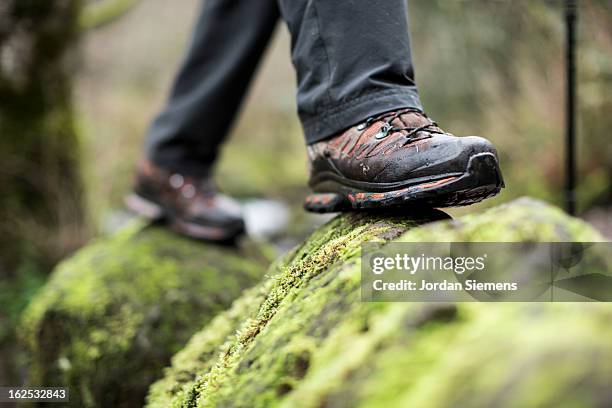 close up of boots on a mossy rock. - schuhwerk stock-fotos und bilder
