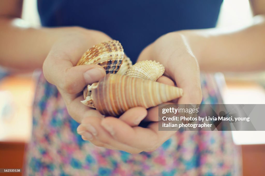 Sea shells
