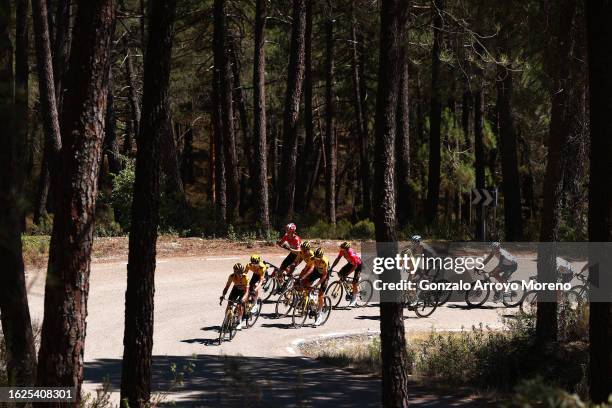 Primoz Roglic of Slovenia and Team Jumbo-Visma - Purple Leader Jersey and a general view of the peloton competing during the 45th Vuelta a Burgos...