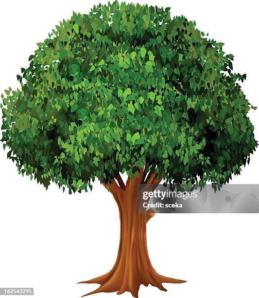 17,222 Animated Tree High Res Illustrations - Getty Images 17,222 Animated Tree High Res Illustrations - Getty Images