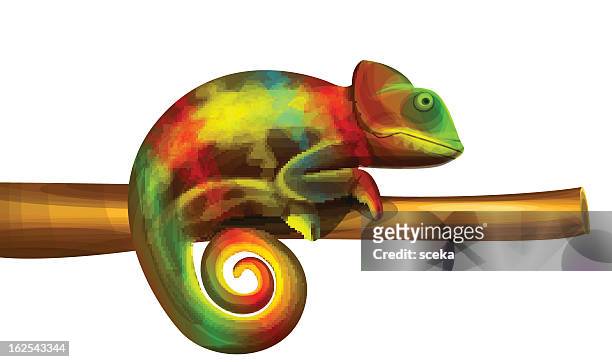 chameleon - reptile stock illustrations