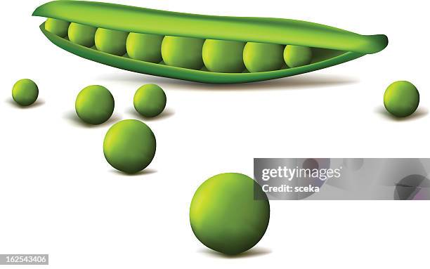 1 372点のエンドウ豆イラスト素材 Getty Images 1 372点のエンドウ豆イラスト素材 Getty Images