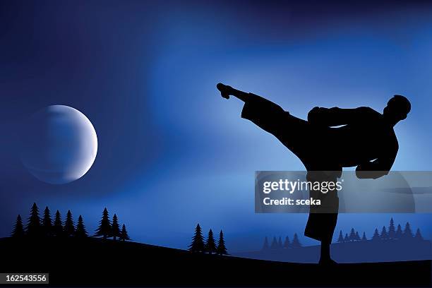 138点のkarate Side Kickのストックフォト Getty Images 138点のkarate Side Kickのストックフォト Getty Images