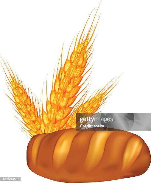 bread - bread roll white background stock illustrations