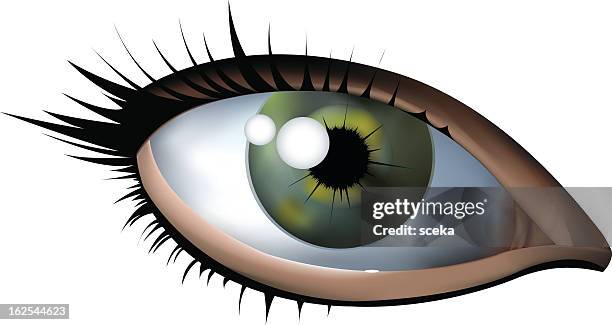illustrazioni stock, clip art, cartoni animati e icone di tendenza di occhio - iperrealismo