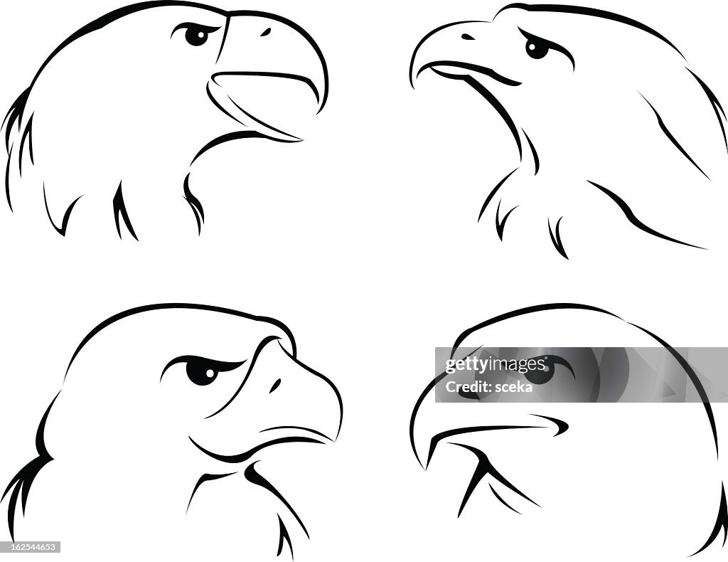 Eagle head