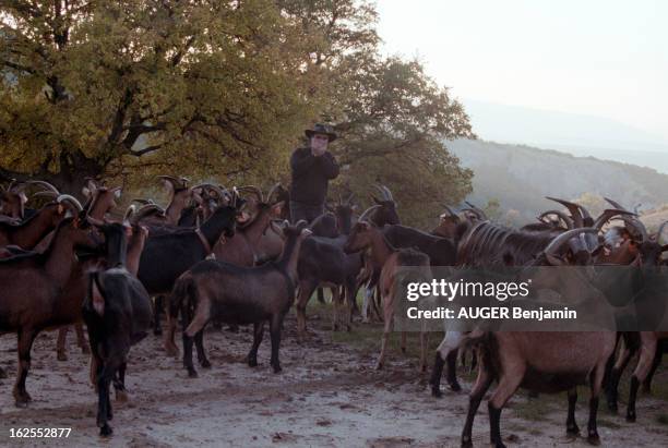 Gianni Ledu, Goats And Pigs Breeder, Manufacturer Of Organic Products. Dans le Lubéron, l'éleveur sarde et fabricant de produits Bio, Gianni LEDU,...