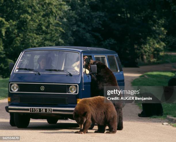 Volkswagen Caravelle Gl Td. En France, le 17 septembre 1987, à l'occasion de la présentation par Paris Match des nouveautés de 1988, la voiture...