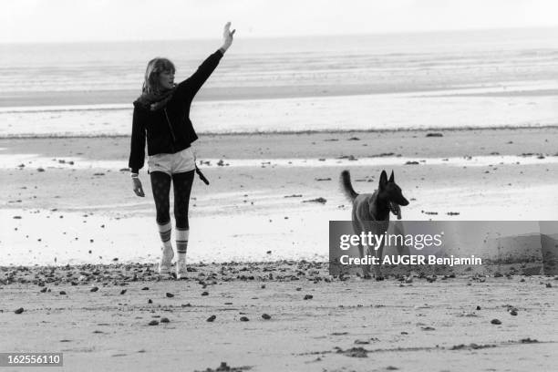 Nathalie Delon. Nathalie DELON avec son chien Masaï, un berger allemand; se baigne nue dans une piscine, fait du jogging sur la plage; écrit un...