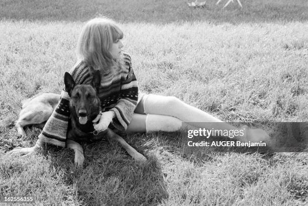 Nathalie Delon. Nathalie DELON avec son chien Masaï, un berger allemand; se baigne nue dans une piscine, fait du jogging sur la plage; écrit un...