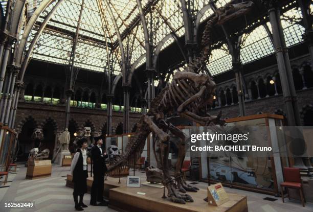 Keren Ann. En Angleterre, à Oxford, en janvier 1984, lors d'un reportage sur l'université, un squelette de dinosaures, au musée des sciences..