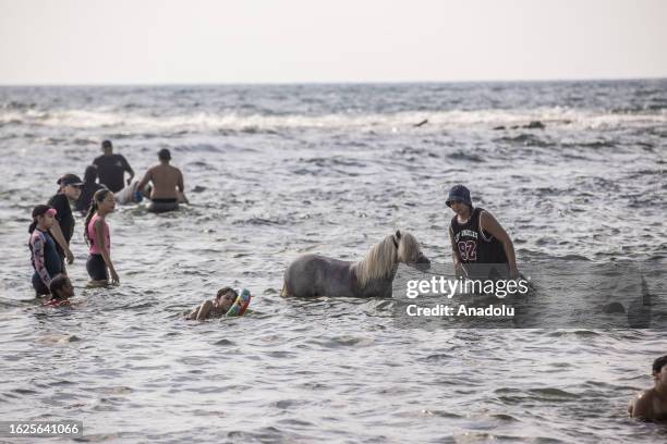 Palestinian woman and her pony try to cool off at Jaffa beach during summer season in Jaffa, Israel on August 26, 2023.