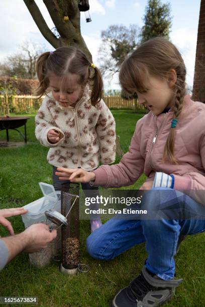 two children being helped by an adult to fill a garden bird feeder with seeds, in a back garden in springtime. - alpha female stock pictures, royalty-free photos & images